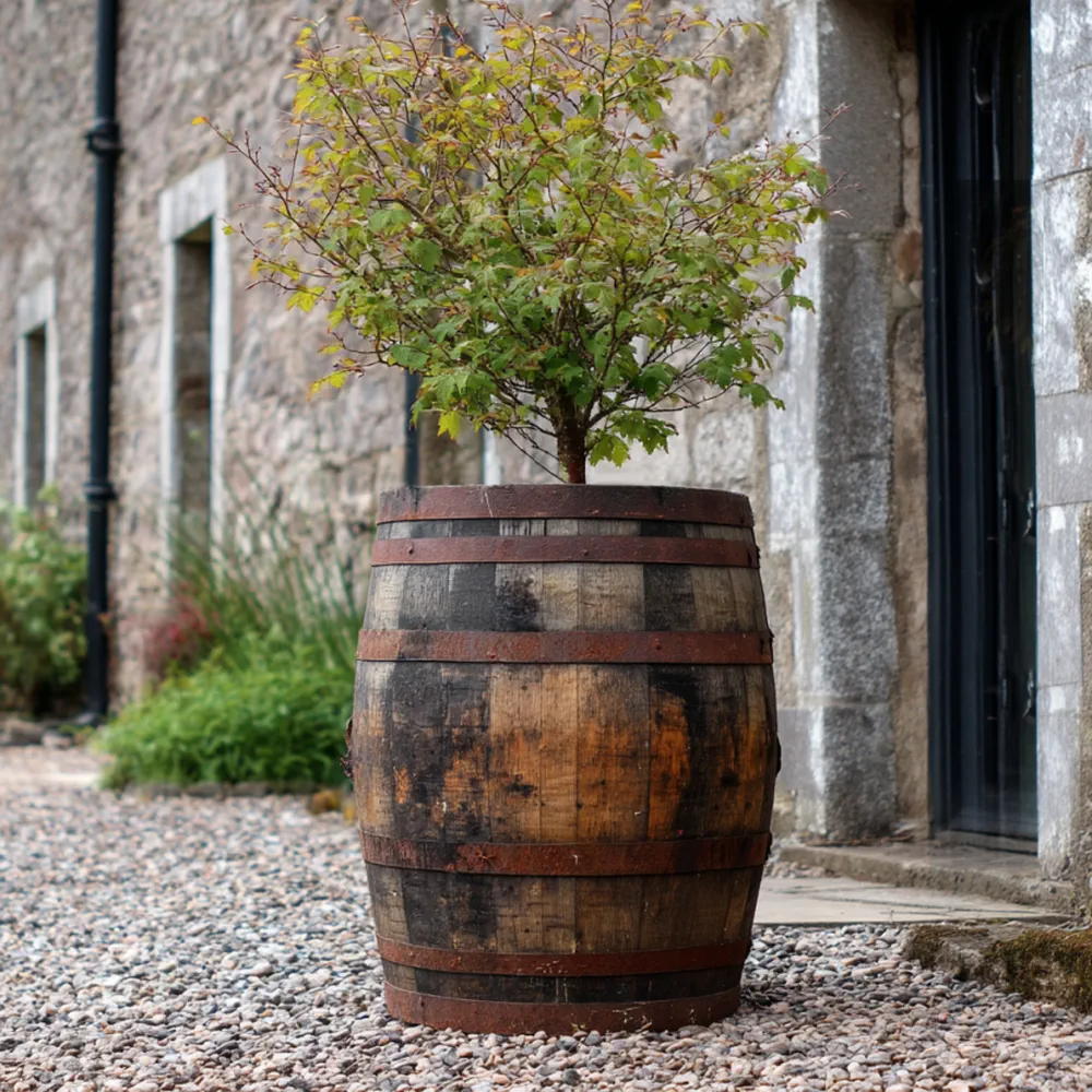 Rustic Oak Barrel Tree / Herb / Bedding Planter - Image 142