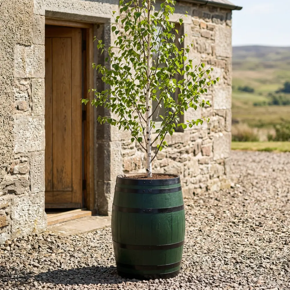 Rustic Oak Barrel Tree / Herb / Bedding Planter - Image 151
