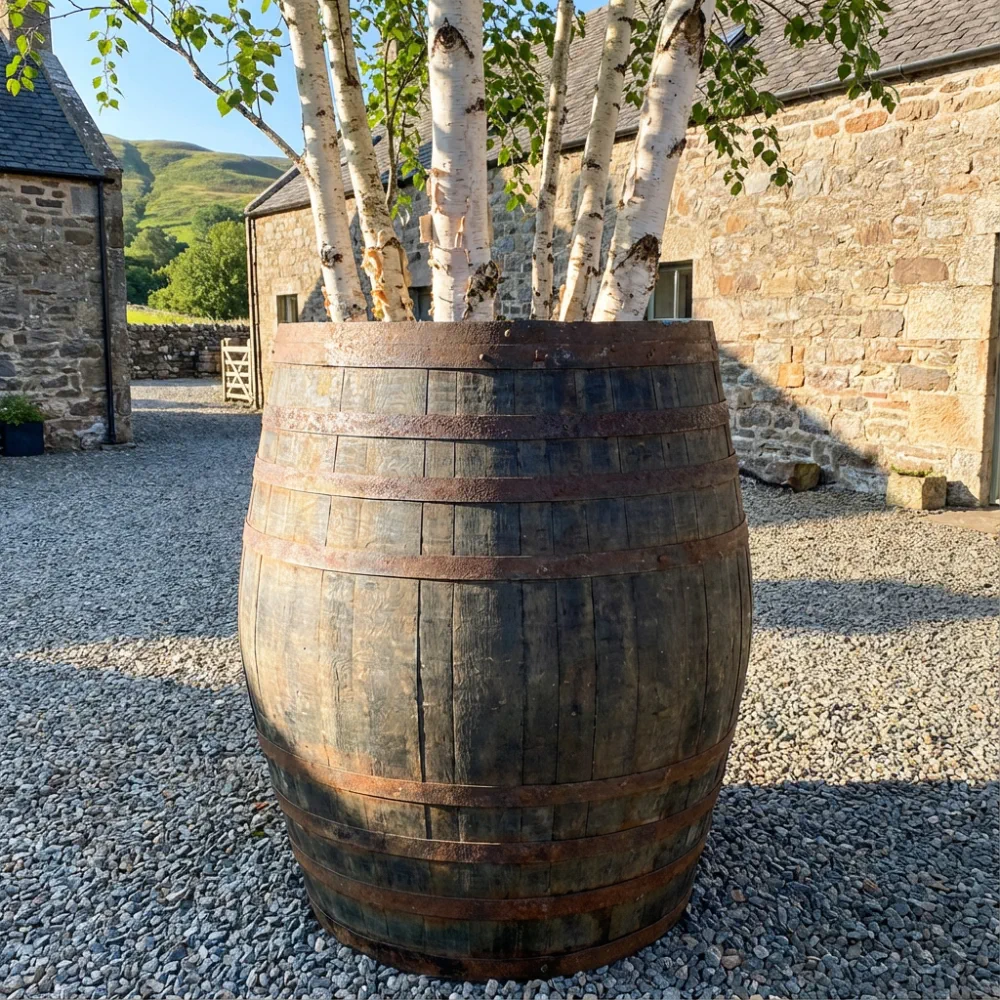 Rustic Oak Barrel Tree / Herb / Bedding Planter - Image 167