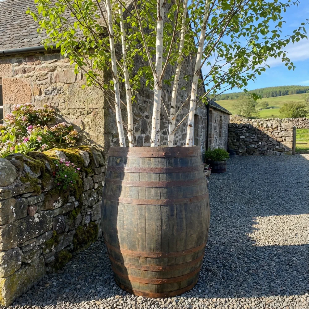 Rustic Oak Barrel Tree / Herb / Bedding Planter - Image 168