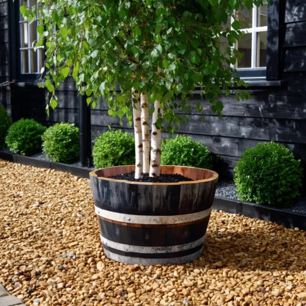 Rustic Oak Barrel Tree / Herb / Bedding Planter - Image 52