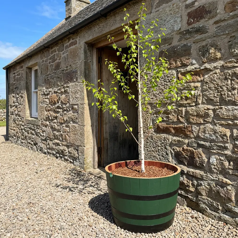Rustic Oak Barrel Tree / Herb / Bedding Planter - Image 58