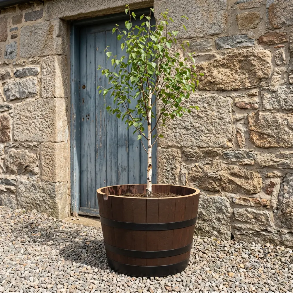 Rustic Oak Barrel Tree / Herb / Bedding Planter - Image 61