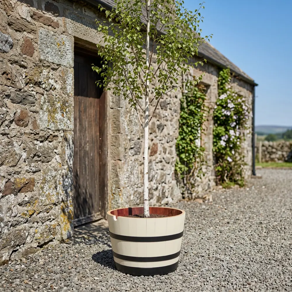 Rustic Oak Barrel Tree / Herb / Bedding Planter - Image 65
