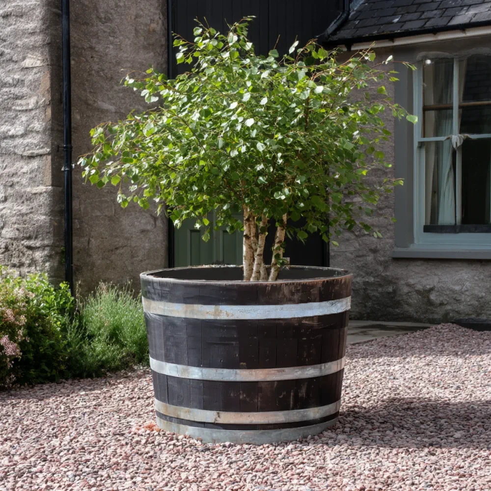 Rustic Oak Barrel Tree / Herb / Bedding Planter - Image 79