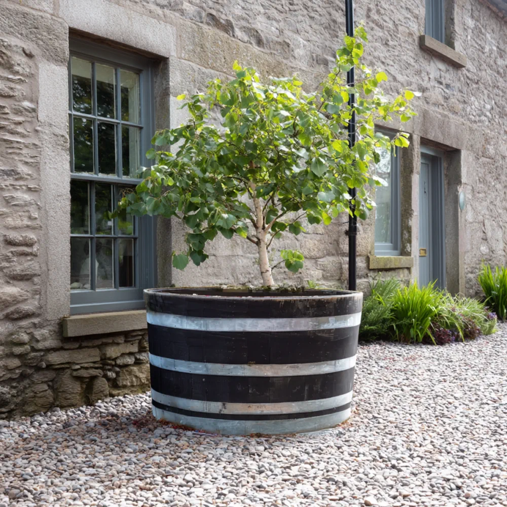 Rustic Oak Barrel Tree / Herb / Bedding Planter - Image 80