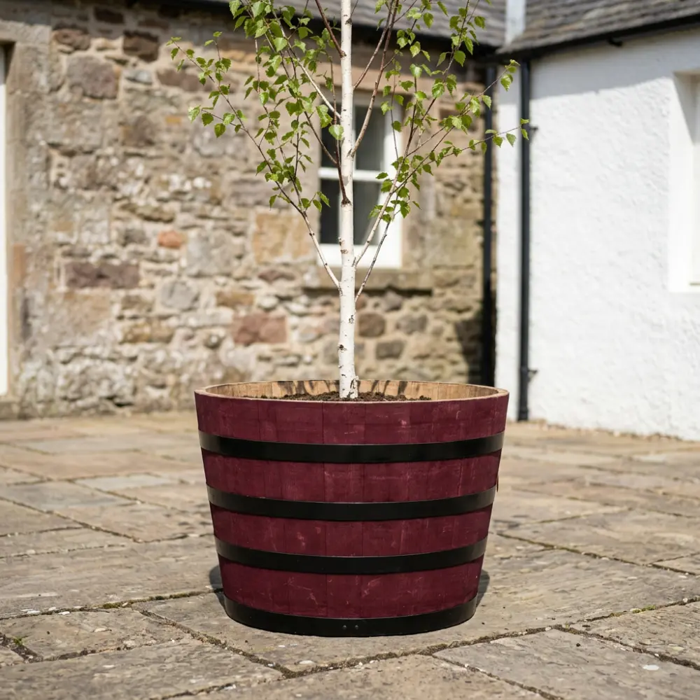 Rustic Oak Barrel Tree / Herb / Bedding Planter - Image 83