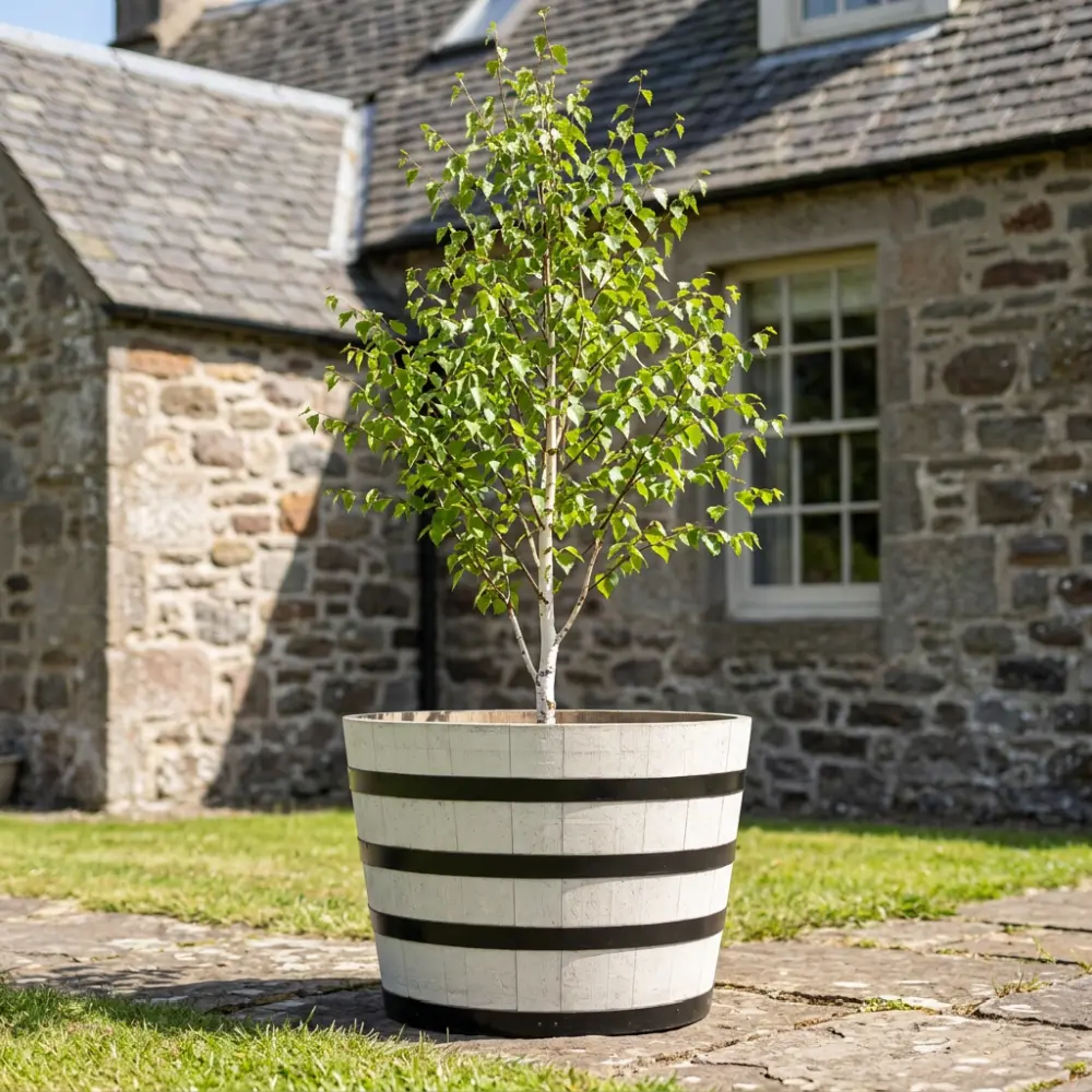 Rustic Oak Barrel Tree / Herb / Bedding Planter - Image 92