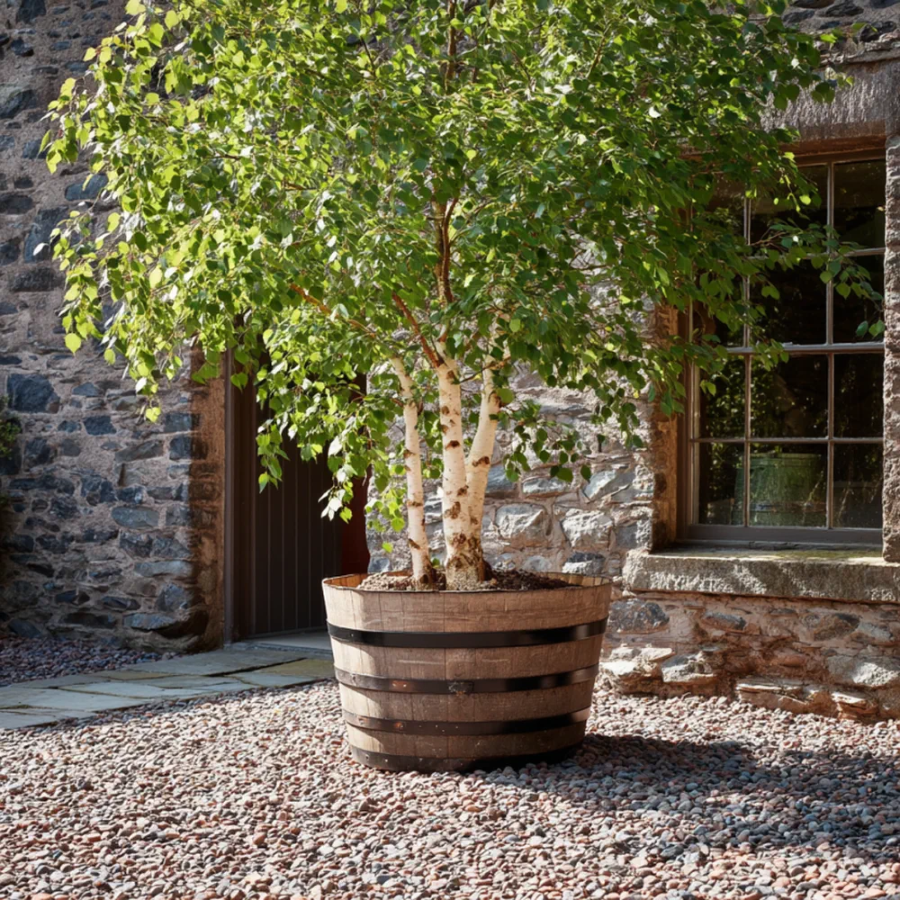 Rustic Oak Barrel Tree / Herb / Bedding Planter - Image 94