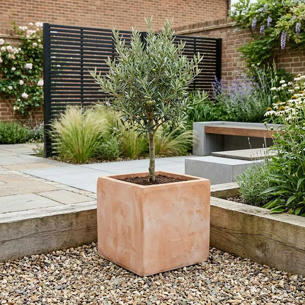 Rustic Terracotta Cube Planter - Image 47