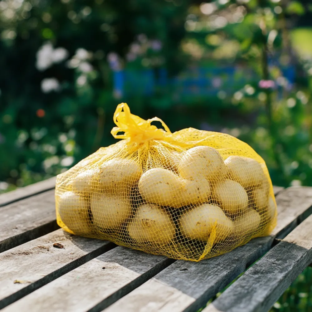 Sharpes Express' First Early Seed Potatoes - Image 2