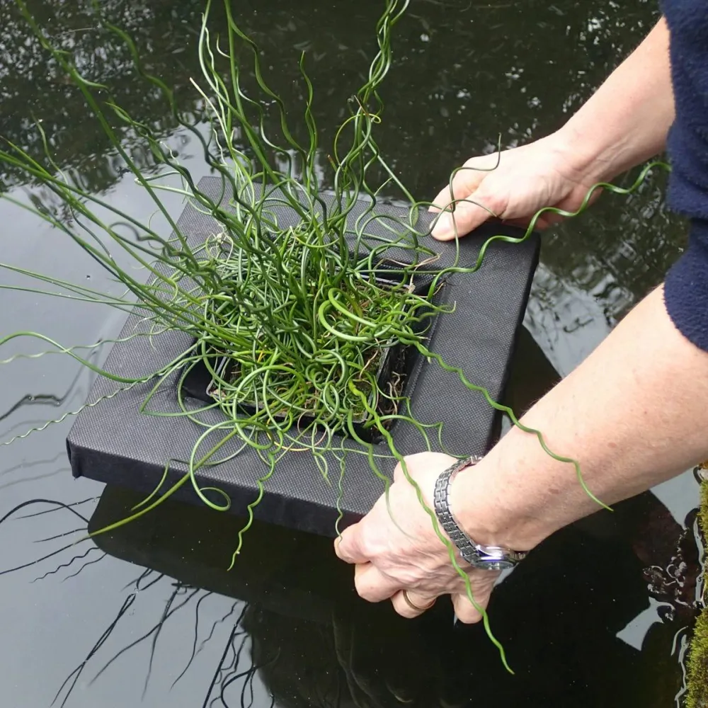 Small Square Floating Basket