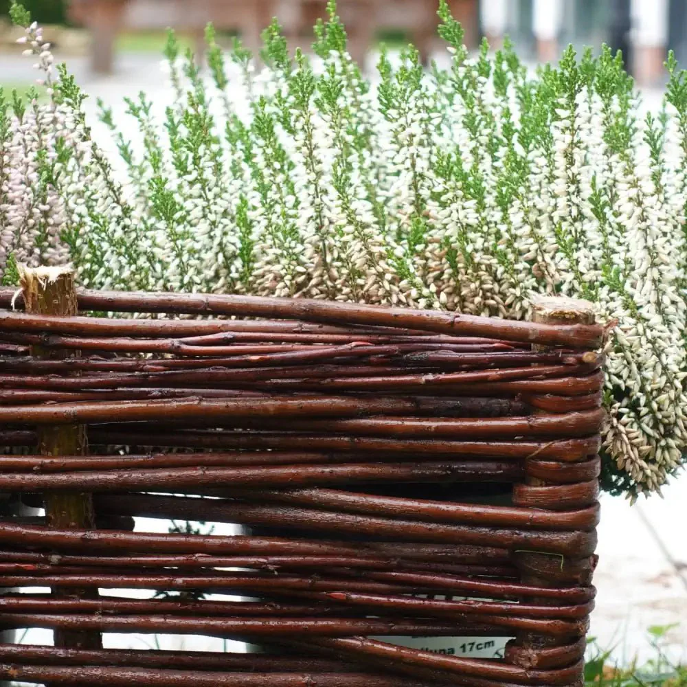 Willow Lawn Edging – 20cm Height - Image 3