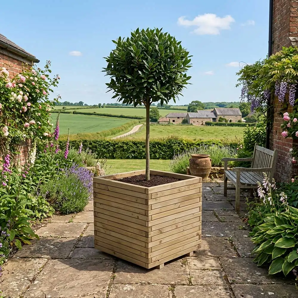 Wooden Pine Raised Cube Planter - Image 3