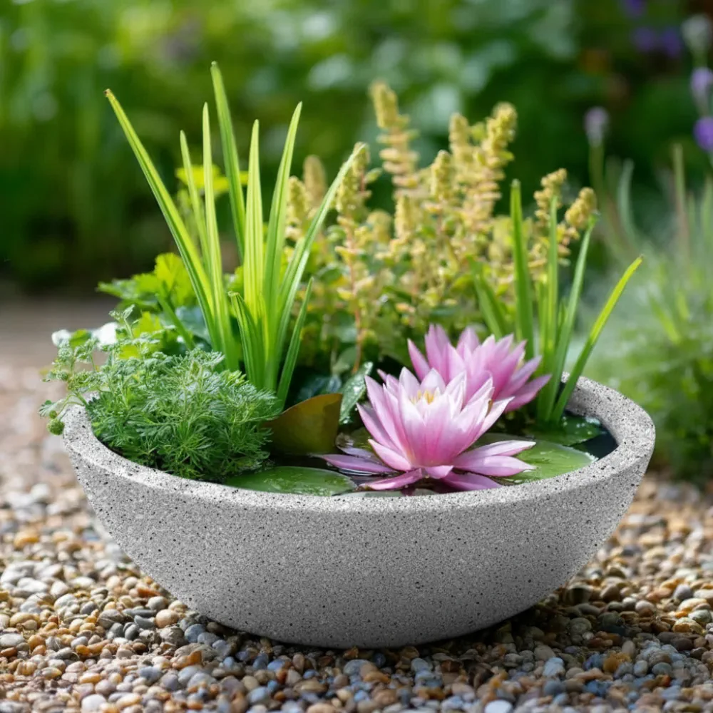Wildlife Pond In A Pot | Complete Kit with Bowl, Plants & Fountain - Image 41
